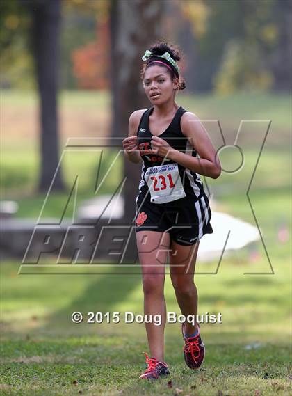 Thumbnail 1 in Allen County Cross Country Meet photogallery.