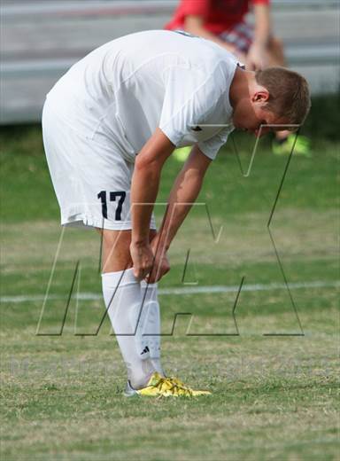 null - Photo 11