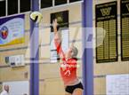 Photo from the gallery "Montgomery @ Windsor"