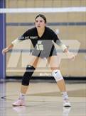 Photo from the gallery "Montgomery @ Windsor"