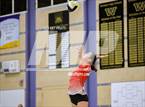 Photo from the gallery "Montgomery @ Windsor"