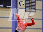Photo from the gallery "Montgomery @ Windsor"