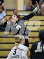 Photo from the gallery "Montgomery @ Windsor"