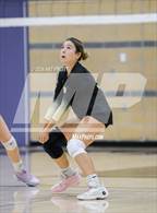 Photo from the gallery "Montgomery @ Windsor"