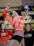 Photo from the gallery "Montgomery @ Windsor"