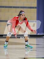 Photo from the gallery "Montgomery @ Windsor"