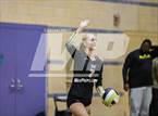 Photo from the gallery "Montgomery @ Windsor"