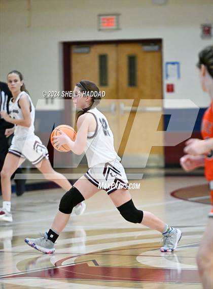 Thumbnail 1 in Seminole @ Palm Harbor University  photogallery.