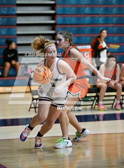 Thumbnail 3 in Seminole @ Palm Harbor University  photogallery.