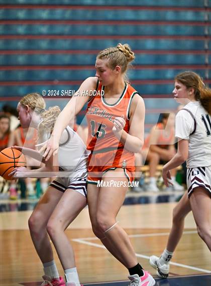 Thumbnail 3 in Seminole @ Palm Harbor University  photogallery.