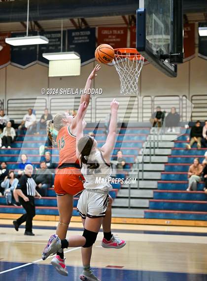 Thumbnail 1 in Seminole @ Palm Harbor University  photogallery.