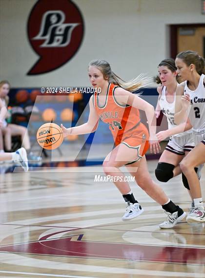 Thumbnail 3 in Seminole @ Palm Harbor University  photogallery.