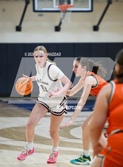 Thumbnail 2 in Seminole @ Palm Harbor University  photogallery.