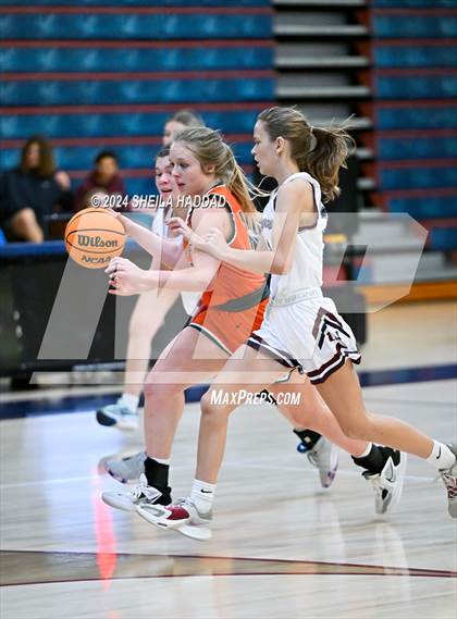 Thumbnail 2 in Seminole @ Palm Harbor University  photogallery.