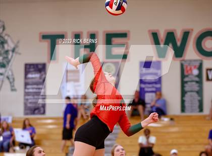 Thumbnail 2 in College Park vs Grand Oaks photogallery.