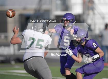 Thumbnail 2 in Pitman @ Tokay photogallery.