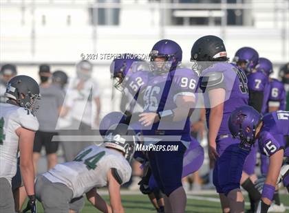 Thumbnail 3 in Pitman @ Tokay photogallery.
