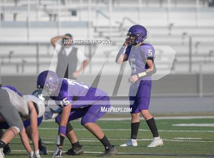 Thumbnail 2 in Pitman @ Tokay photogallery.