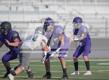 Thumbnail 3 in Pitman @ Tokay photogallery.