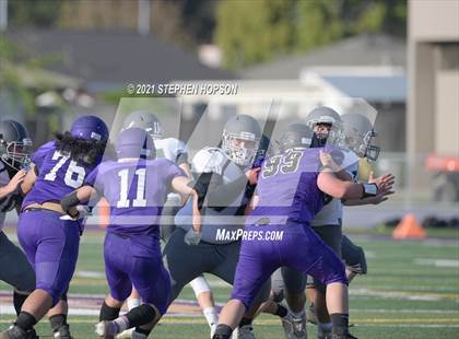 Thumbnail 3 in Pitman @ Tokay photogallery.