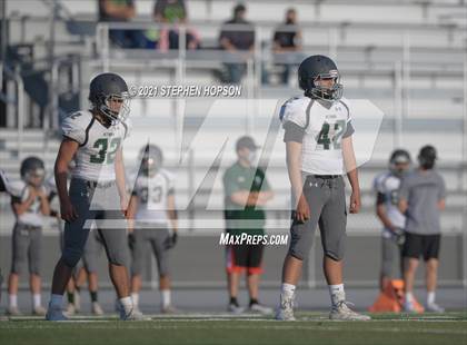 Thumbnail 1 in Pitman @ Tokay photogallery.