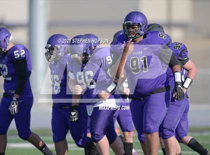 Thumbnail 1 in Pitman @ Tokay photogallery.