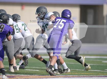 Thumbnail 3 in Pitman @ Tokay photogallery.