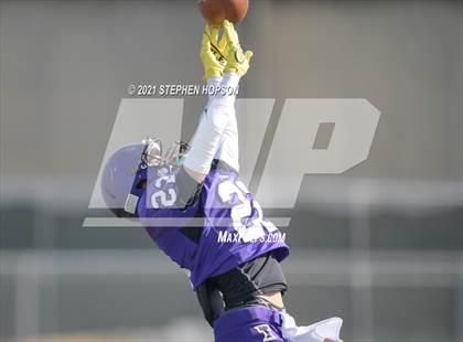 Thumbnail 2 in Pitman @ Tokay photogallery.