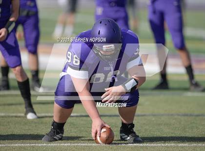 Thumbnail 2 in Pitman @ Tokay photogallery.