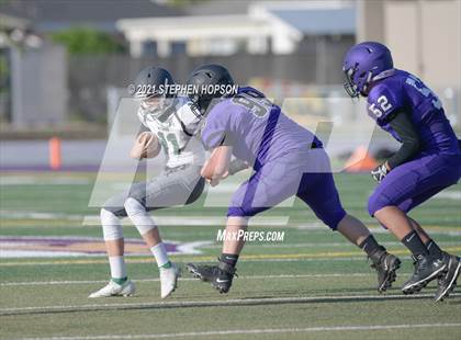 Thumbnail 2 in Pitman @ Tokay photogallery.