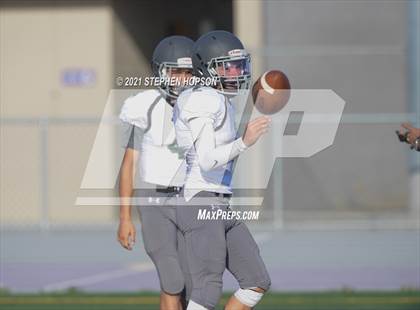 Thumbnail 3 in Pitman @ Tokay photogallery.