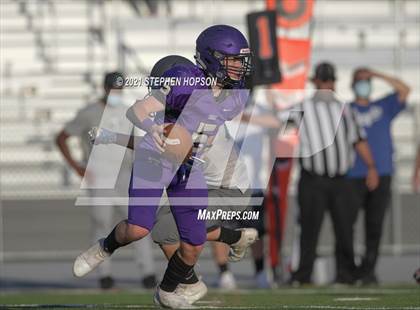 Thumbnail 1 in Pitman @ Tokay photogallery.