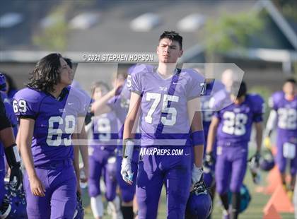 Thumbnail 3 in Pitman @ Tokay photogallery.