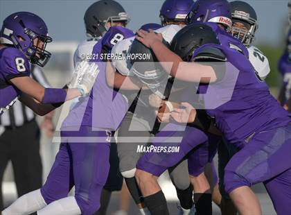 Thumbnail 1 in Pitman @ Tokay photogallery.
