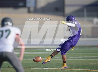 Thumbnail 3 in Pitman @ Tokay photogallery.