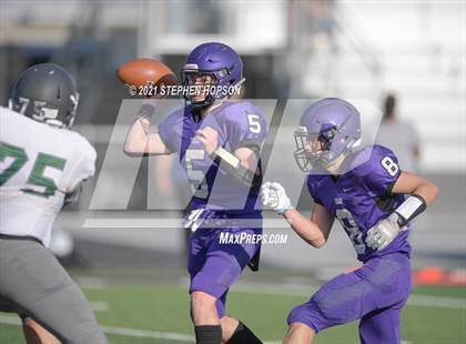 Thumbnail 1 in Pitman @ Tokay photogallery.