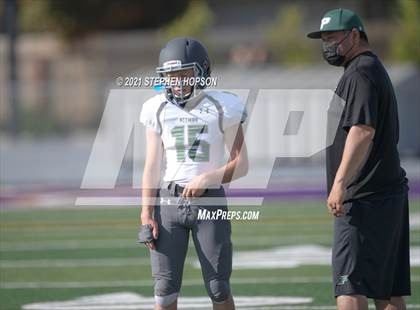 Thumbnail 1 in Pitman @ Tokay photogallery.