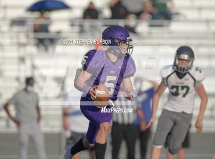 Thumbnail 3 in Pitman @ Tokay photogallery.