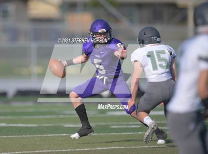 Thumbnail 3 in Pitman @ Tokay photogallery.