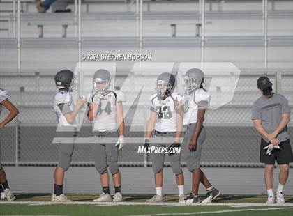 Thumbnail 3 in Pitman @ Tokay photogallery.