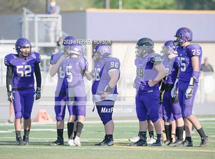 Thumbnail 1 in Pitman @ Tokay photogallery.