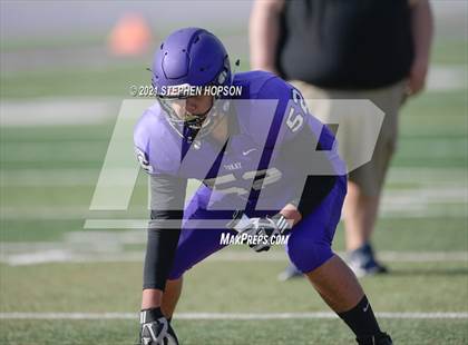 Thumbnail 3 in Pitman @ Tokay photogallery.