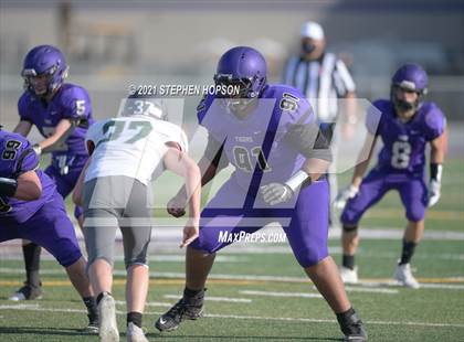 Thumbnail 3 in Pitman @ Tokay photogallery.