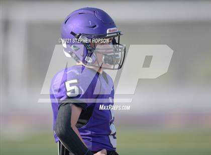 Thumbnail 3 in Pitman @ Tokay photogallery.