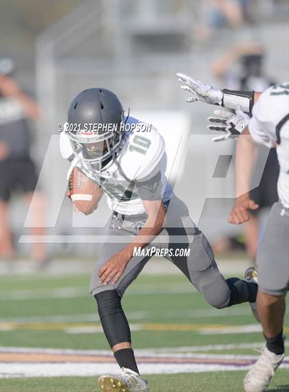 Thumbnail 3 in Pitman @ Tokay photogallery.