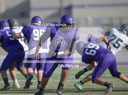 Thumbnail 1 in Pitman @ Tokay photogallery.