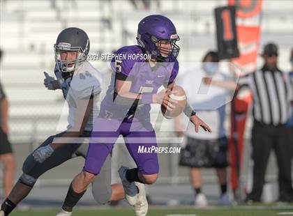 Thumbnail 2 in Pitman @ Tokay photogallery.
