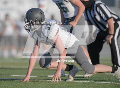 Thumbnail 3 in Pitman @ Tokay photogallery.