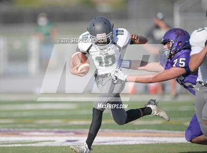 Thumbnail 1 in Pitman @ Tokay photogallery.