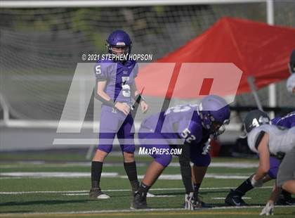 Thumbnail 1 in Pitman @ Tokay photogallery.